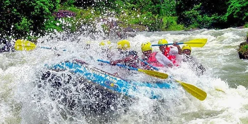 Rafters paddling through white-water rapids surrounded by tropical greenery